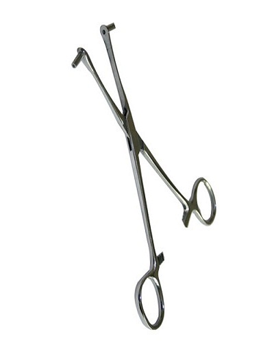 Septum Forceps Style 511 - Pinza per Body Piercing