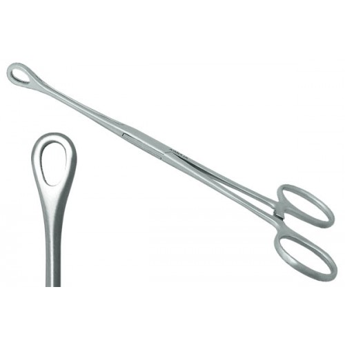 Pinza Forester (Sponge) Punte Ovali Chiuse Curve - Pinza per Body Piercing